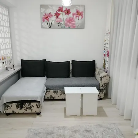 Modern Studio Near Coresi Mall W. Parking-3